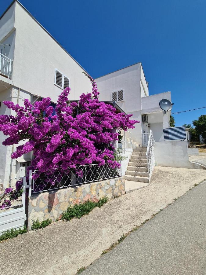 Maslenica-Bougainvillea Bagian luar foto