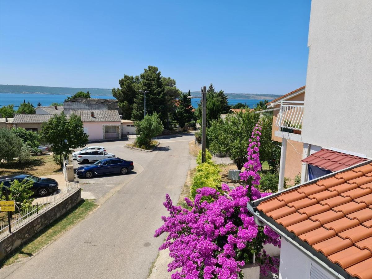 Maslenica-Bougainvillea Bagian luar foto