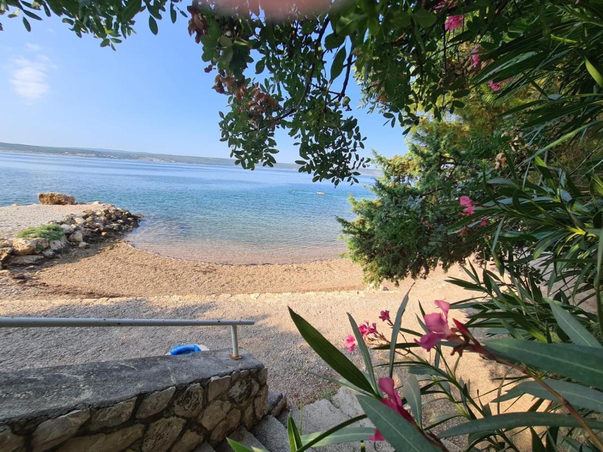 Maslenica-Bougainvillea Bagian luar foto